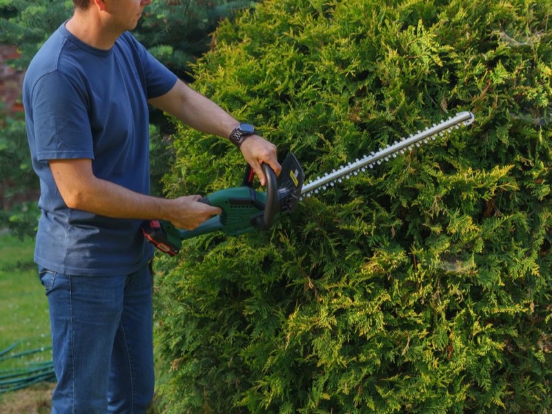 Mitarbeiter schneidet eine Thuja-Hecke mit dem Akku-Heckenschneider